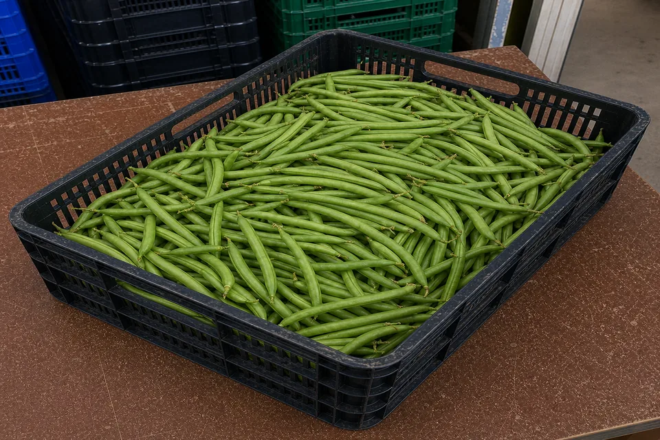Judías verdes