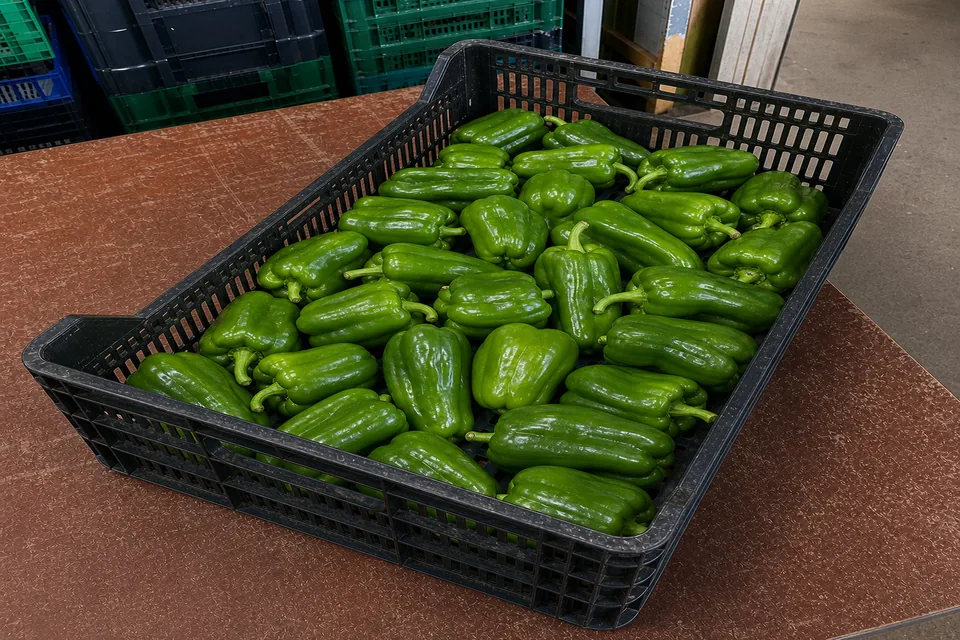 Pimiento Verde